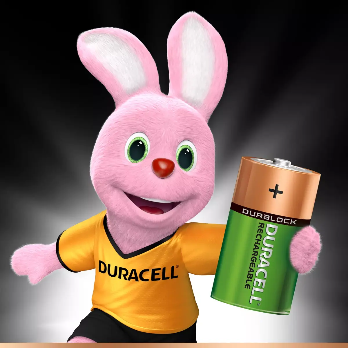 Аккумулятор Duracell 5000394055995 Photo 2