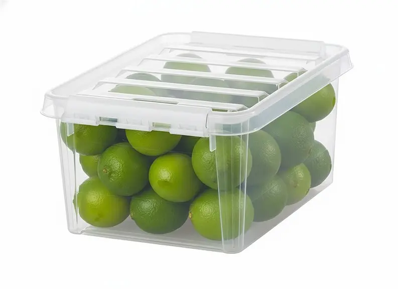 SmartStore Classic 10 uzglabāšanas kaste 8L Photo 3