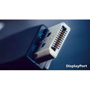 DisplayPort connection for maximum visuals