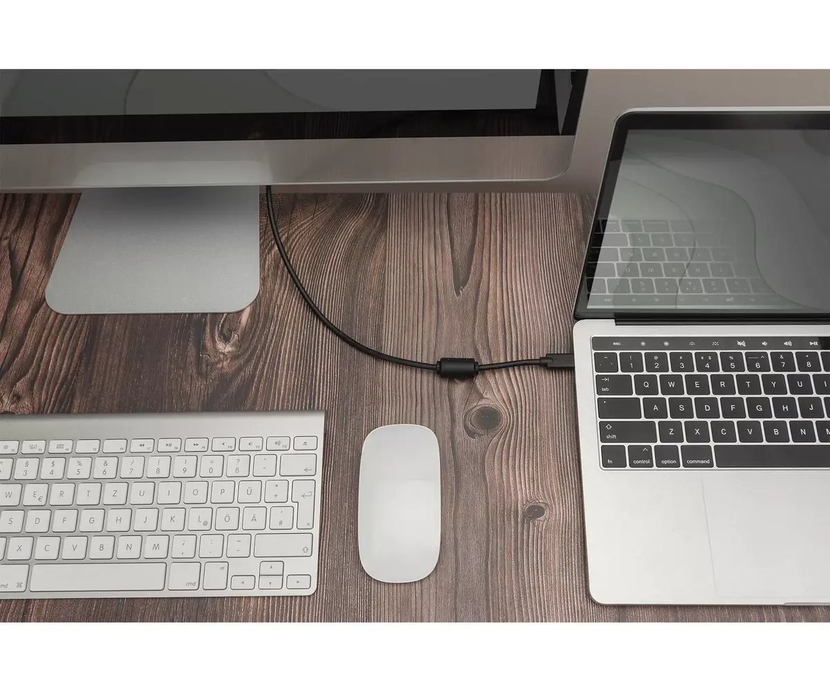 USB Type-C to DP adapter Digitus AK-300333-020-S Photo 2