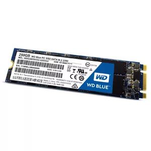 SSD disk Western Digital 250GB 2.5 inch SATA3 WDS250G1B0B