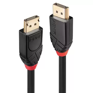 Lindy 41078 DisplayPort kabelis 10 m Melns