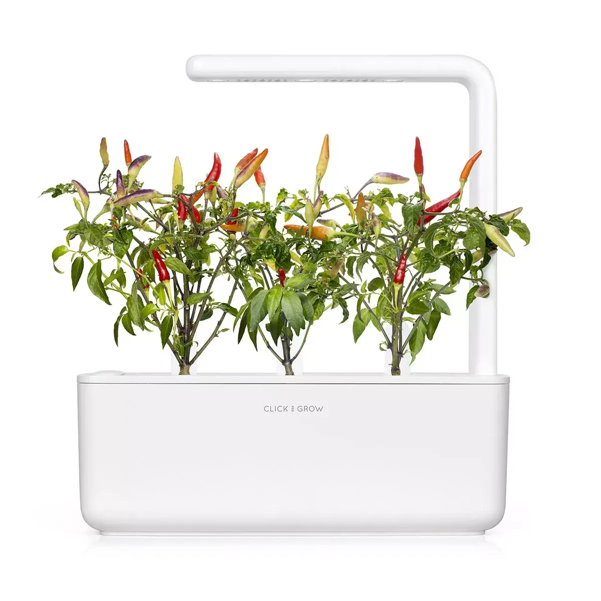 Refill Click & Grow RED HOT CHILI PEPPER PLANT PODS Photo 4