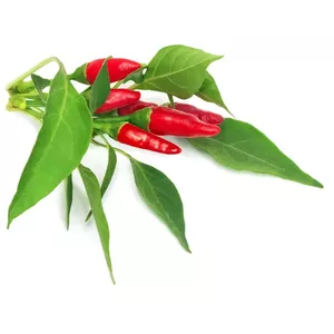 Click & Grow PIRI PIRI CHILI 3 pcs Čili pipari Uzpildāms