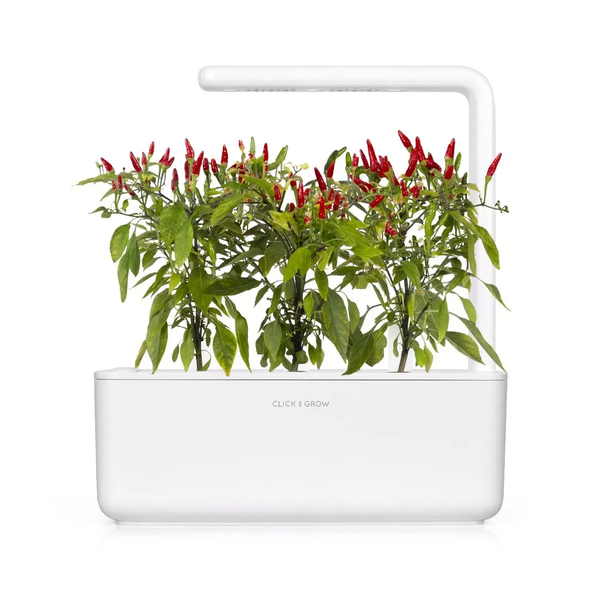 Pildspalva Click & Grow PIRI PIRI CHILI Photo 4