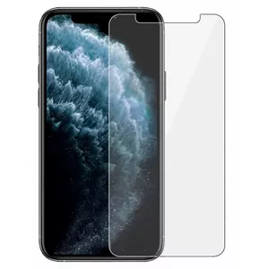 Защитное стекло Evelatus для Apple iPhone 11 Pro Max 6,5" плоское прозрачное антистатическое