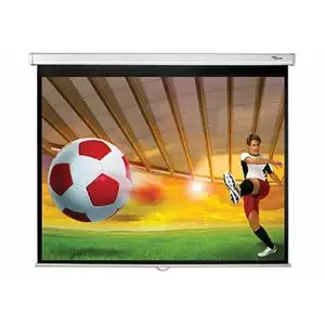 Optoma DS-3084PWC проекционный экран 2,13 m (84") 4:3