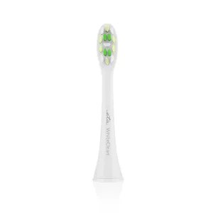 Toothbrush replacement heads ETA WhiteClean 2 pcs — green/white, soft bristles, compatible with ETA models