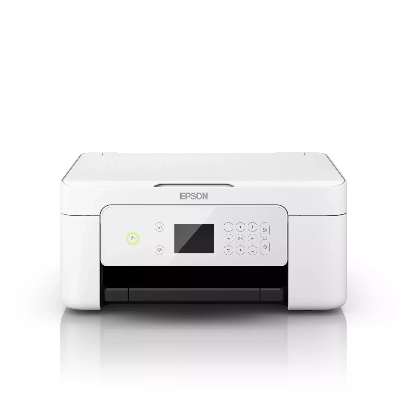 Epson C11CG33404 Photo 10