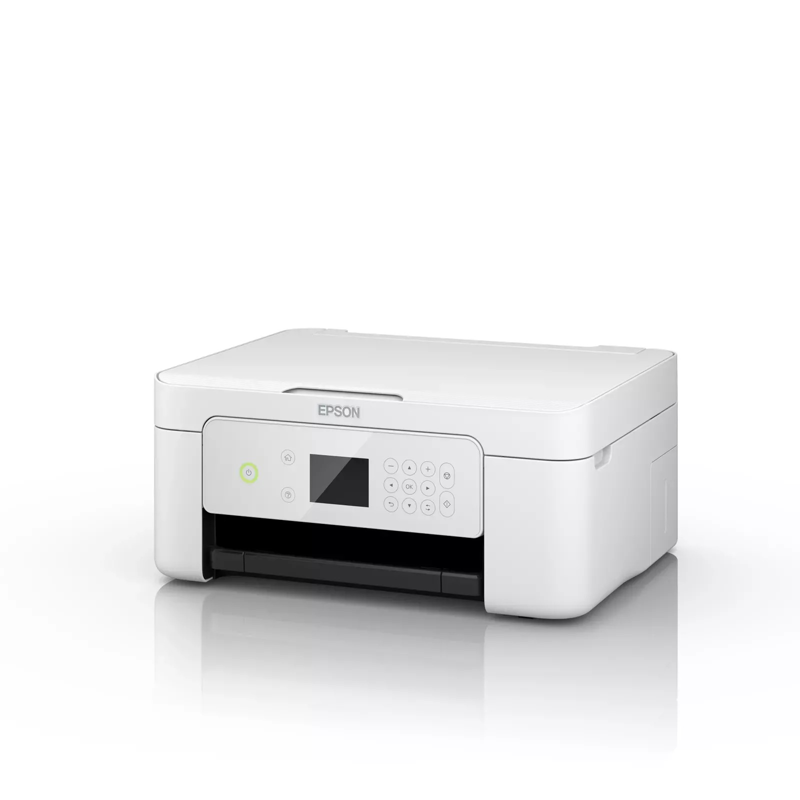 Epson C11CG33404 Photo 11