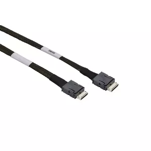 SAS Cable Supermicro CBL-SAST-0819 65m Black