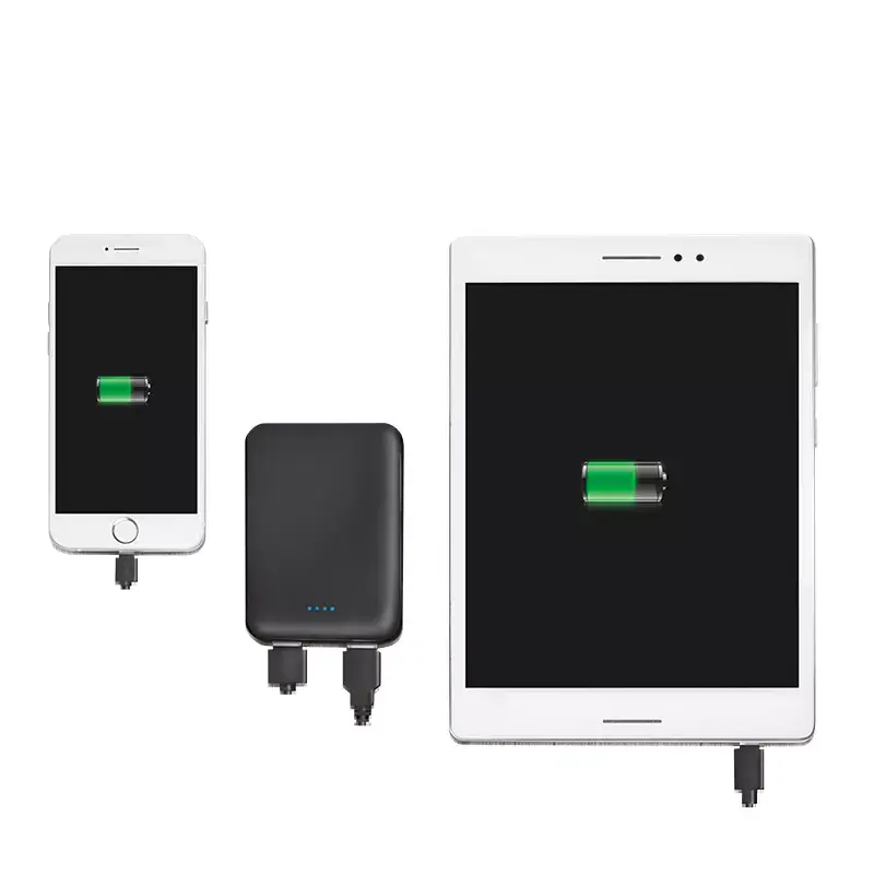 LogiLink PA0202 ārējais akumulators 5000 mAh Photo 6