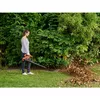 black&decker BEBLV290-QS Photo 10