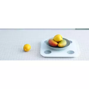 Dynamic weighing, static measurement One dual-use scale is more efficient