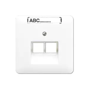 Wall Socket Outlet RJ-45 Jung CD 569-2 NAUA WW — White thermoplastic network connector