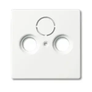 Wall plate cover, Busch-Jaeger 1743-884, white, conventional design, 63×63 mm