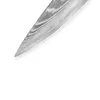 Поварской нож Samura Damascus SD-0085 200 мм Photo 6