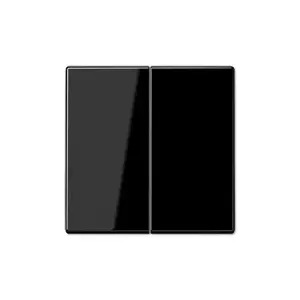 JUNG LS 995 SW Rocker for Series Switch, Black