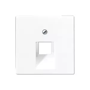 Wall plate adapter JUNG A 569-1 BFPLUA WW — white thermoplastic, 1‑pack