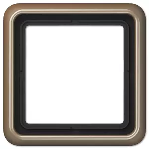 JUNG CD 581 GB Single Cover Frame Bronze