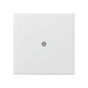 Gira 0274112 Wall Plate and Switch Cover, White