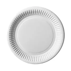 Plate disposable Papstar 11175