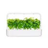 Aizpildījums Click & Grow CINNAMON BASIL Photo 2