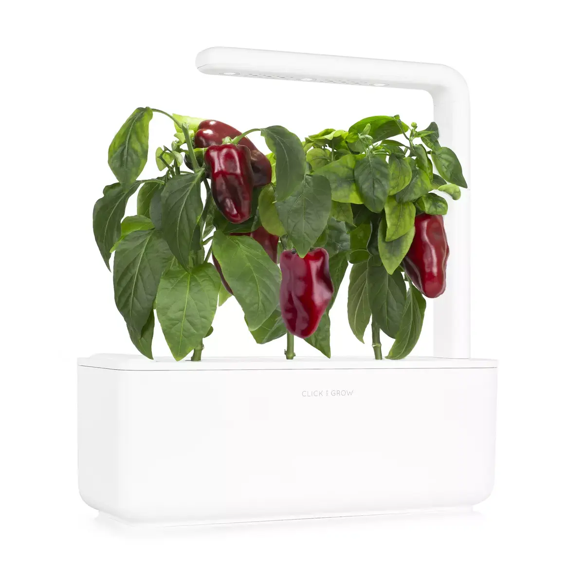 Запасные Click & Grow RED SWEET PEPPER PLANT PODS Photo 2
