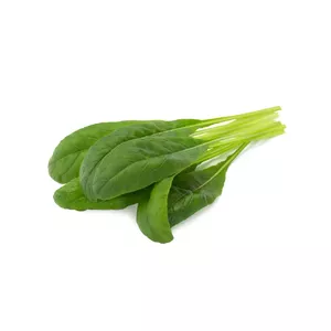 Refill Click & Grow MIBUNA PLANT PODS