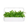 Refill Click & Grow MIBUNA PLANT PODS Photo 3