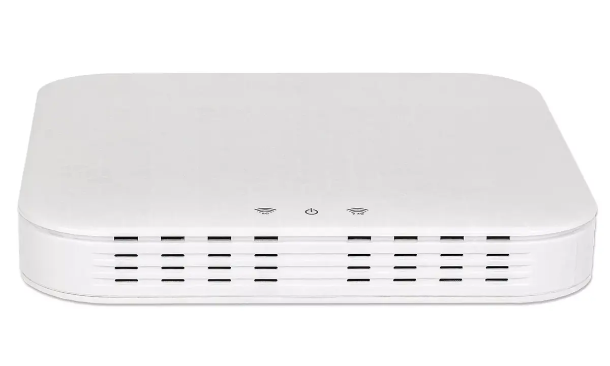 INTELLINET 525831 wireless access point 1300 Mbit/s Photo 4