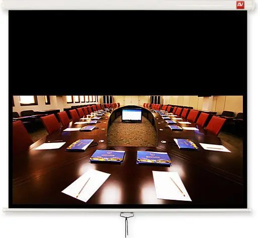 Avtek International Business 200 Projection Screen Photo 2