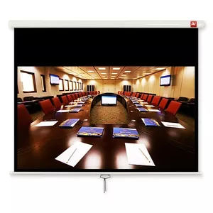 Avtek International Cinema 240 projection screen 2.72 m (107") 16:9