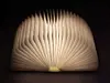 Good Connections GC-L0003 LED Book Night Light Photo 2