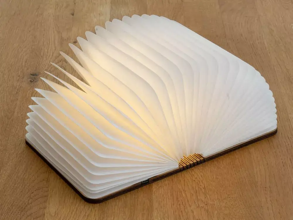 Good Connections GC-L0003 LED Book Night Light Photo 3