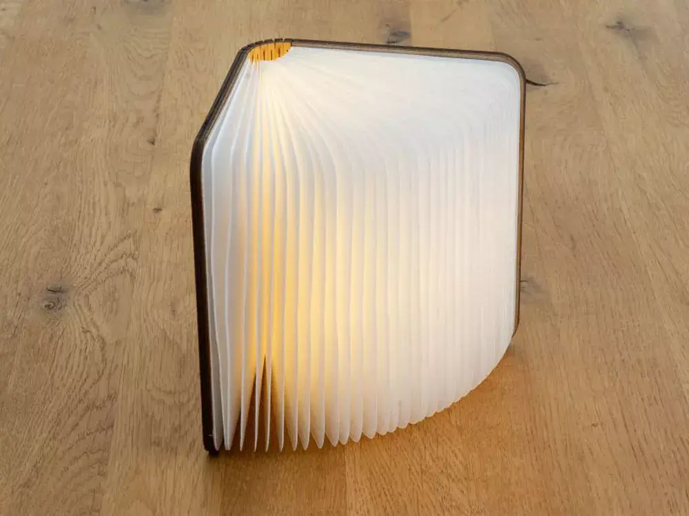 Good Connections GC-L0003 LED Book Night Light Photo 4