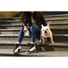 Pet leash PETKIT P2101 GO Shine White Photo 5
