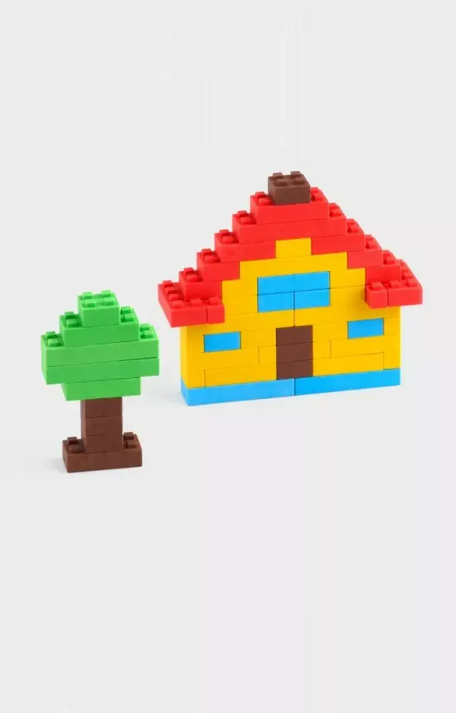 Marioinex Classic Blocks 55 pcs. building set Photo 3