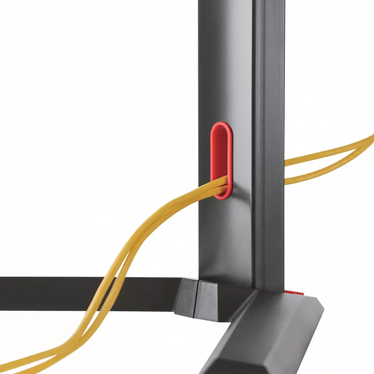 Desk Mount White Shark Rhamses II Photo 4