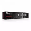 Desk Mount White Shark Rhamses II Photo 6
