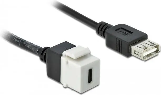 Keystone modulis DeLOCK 86391 USB C