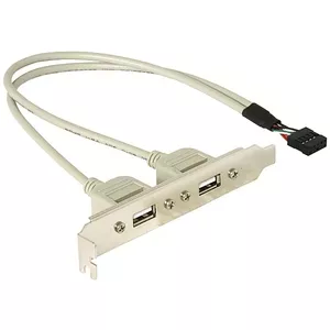 Слотная планка 1x внутренний USB 5pin на 2x USB2.0 внешний DeLOCK 71000