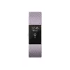 Fitbit FB407RGLVL-EU Photo 3