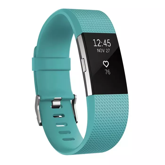 Fitbit FB407STEL-EU Photo 1