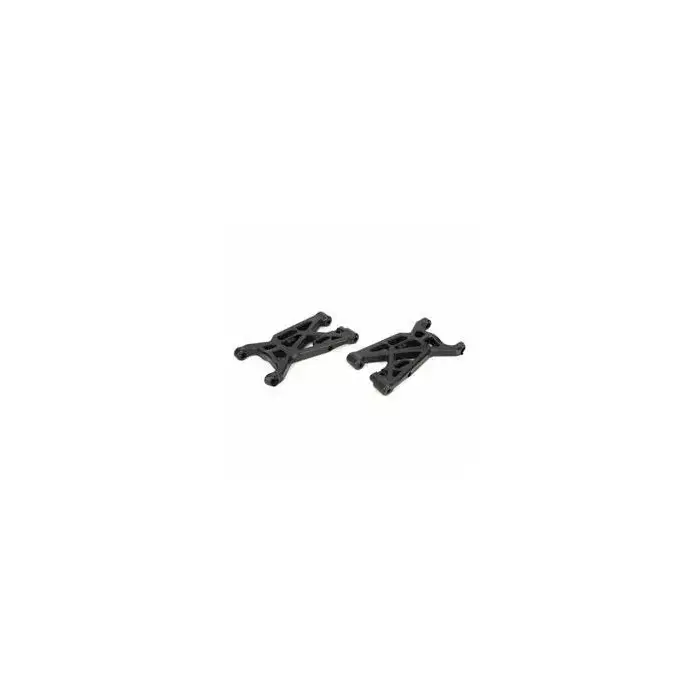 horizon hobby TLR244000 Photo 1