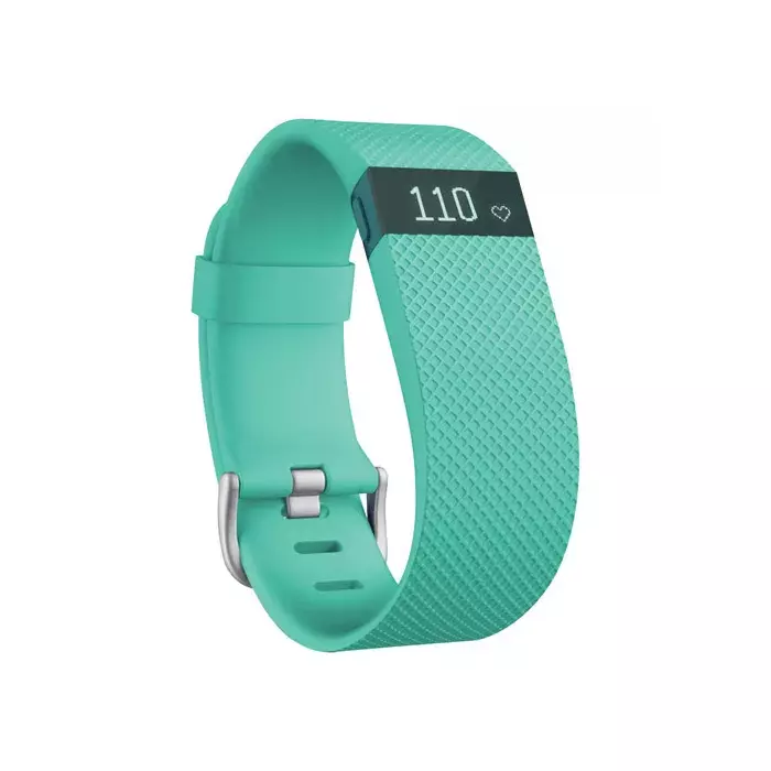 Fitbit FB405TEL Photo 1