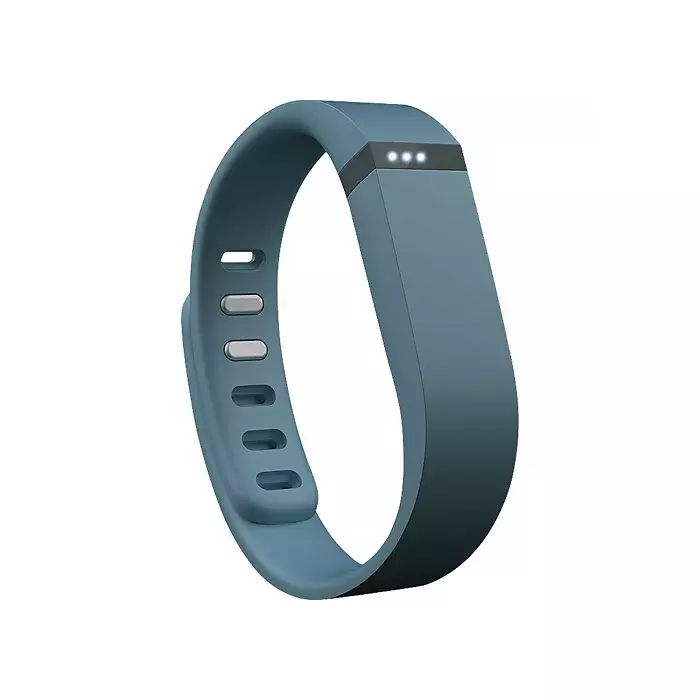 Fitbit FB401SL-EU Photo 1