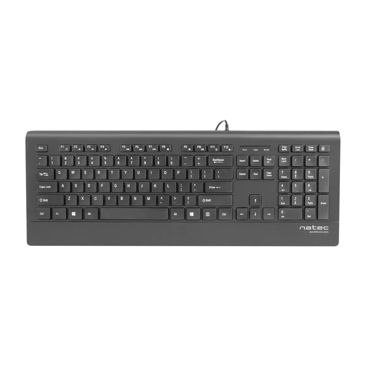 NATEC BARRACUDA NKL-0876 vadu USB pilna izmēra tastatūra Photo 4