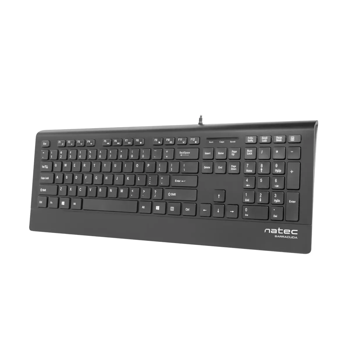 NATEC BARRACUDA NKL-0876 vadu USB pilna izmēra tastatūra Photo 5