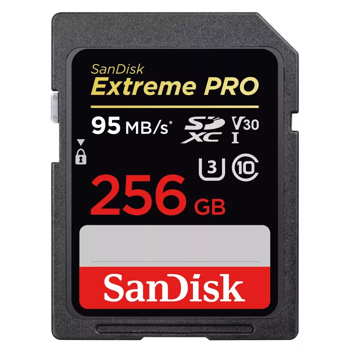 SANDISK SDSDXXG-256G-GN4IN Photo 1